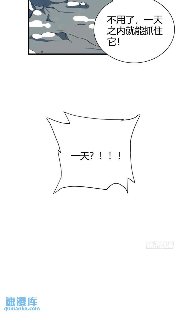 悬崖上的猎手