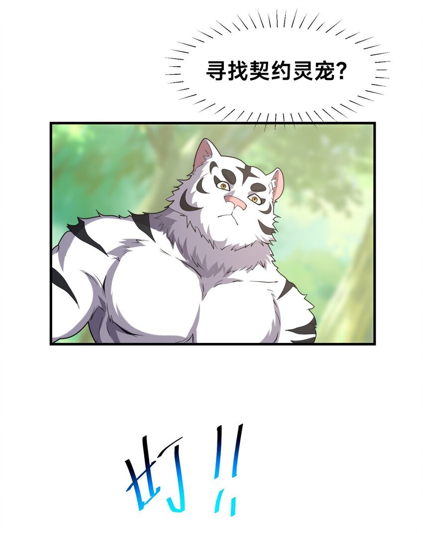 002 捕获野生法师！