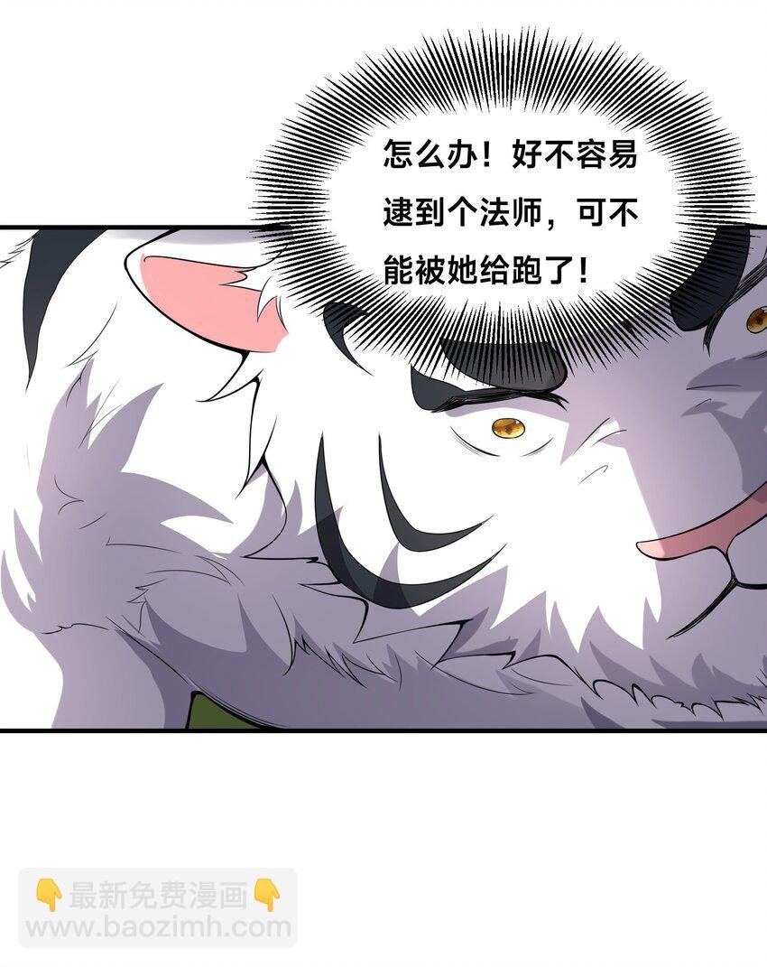002 捕获野生法师！