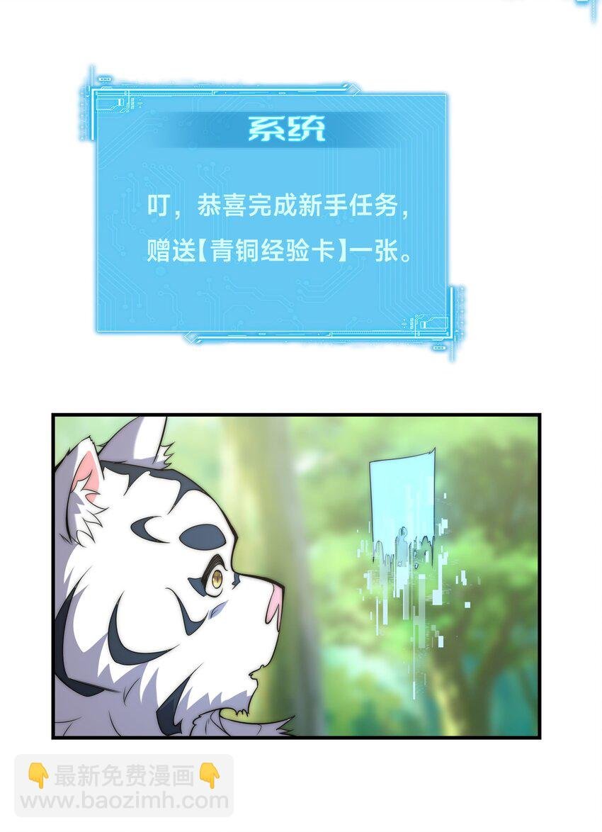 002 捕获野生法师！