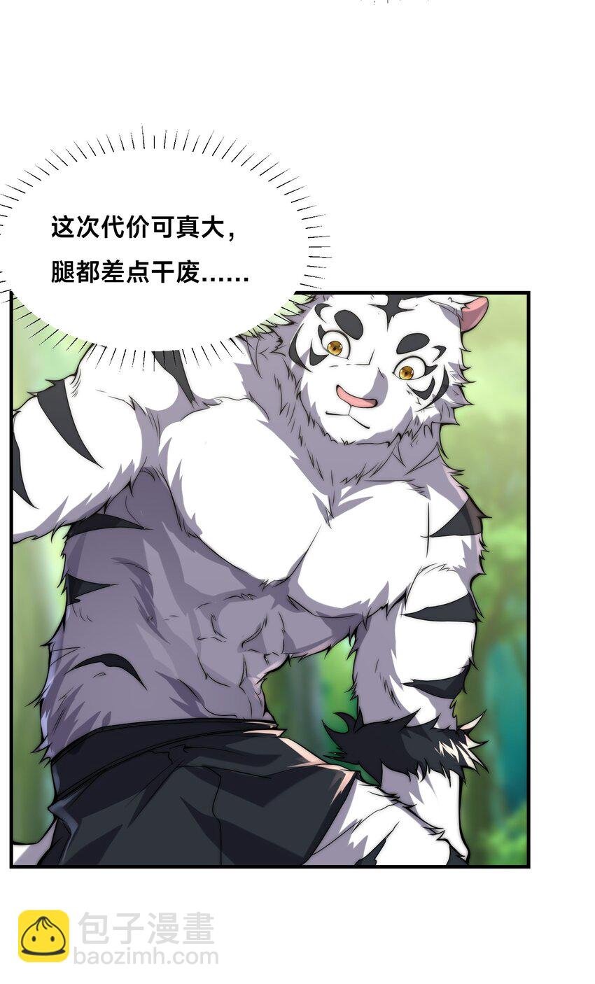 002 捕获野生法师！