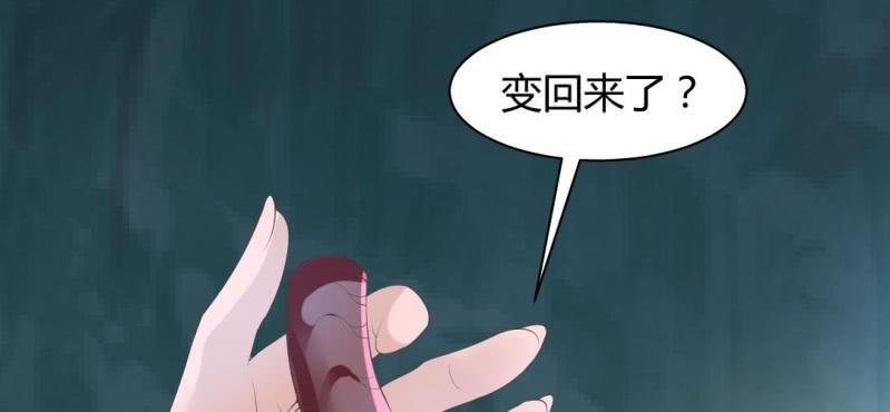 第17话 王爷的泪