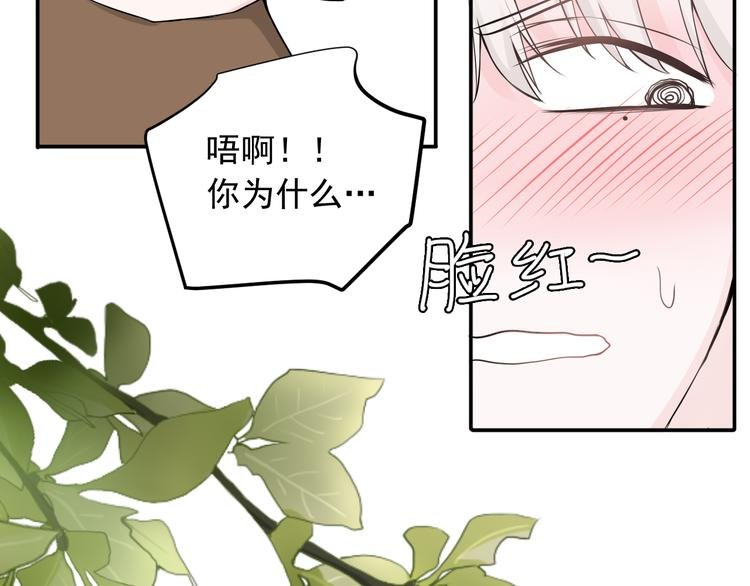 完结篇 你的笑容