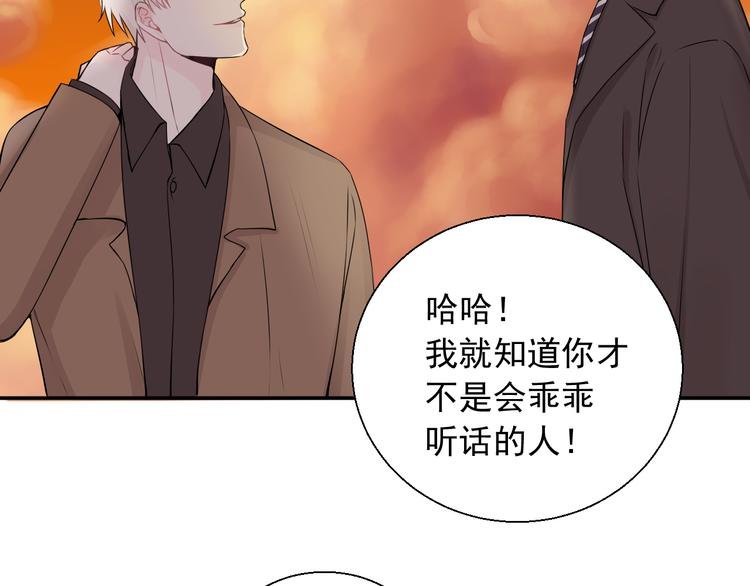完结篇 你的笑容