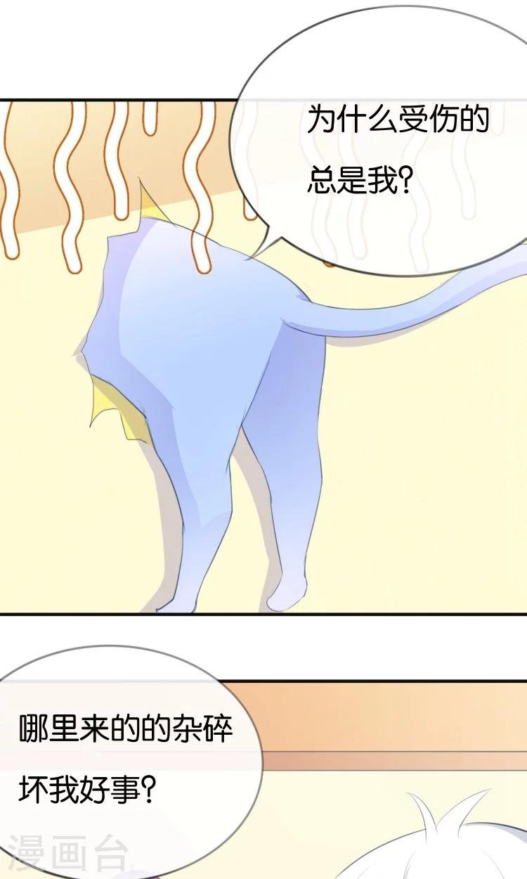 第11话 你们爱我吗？！