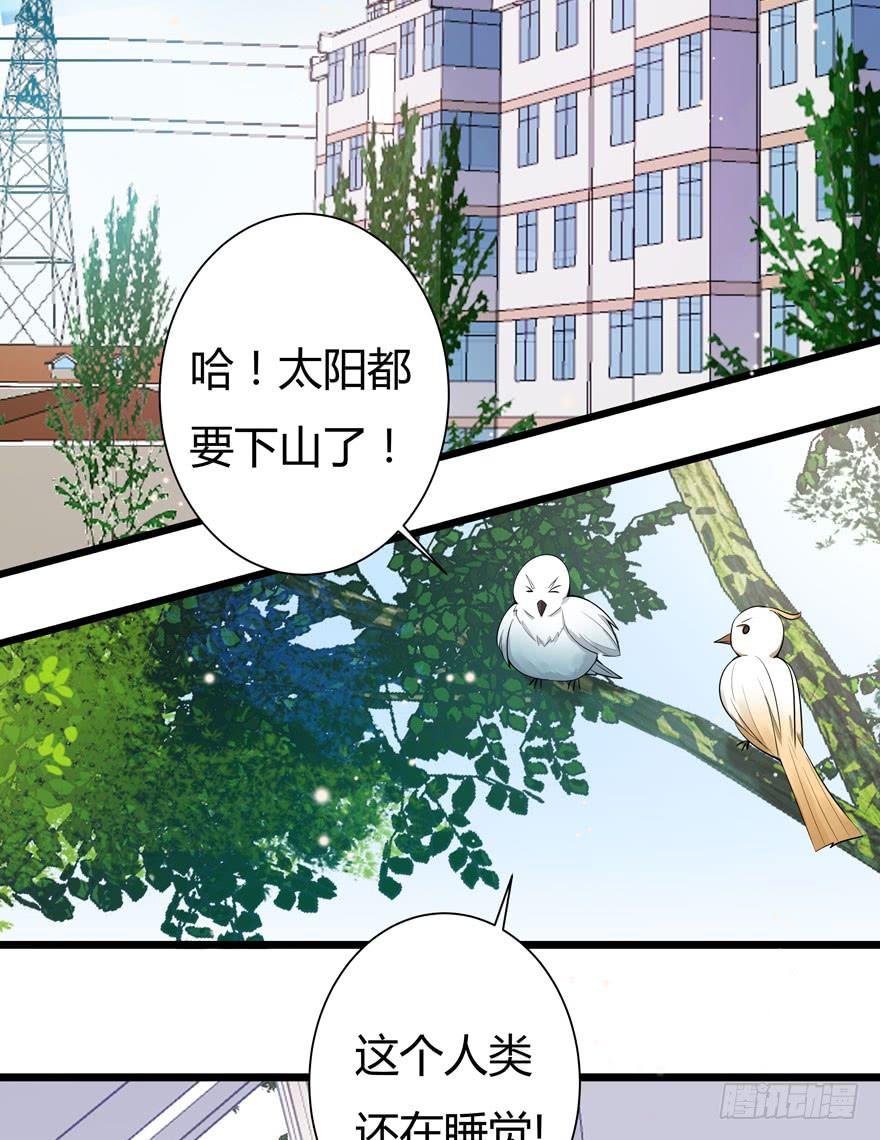 3.凡间“真爱”