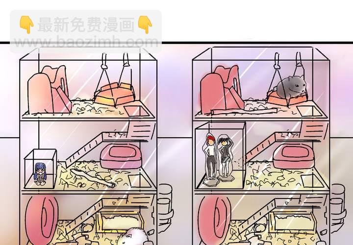第二十五话：非日常也便成了日常（中）