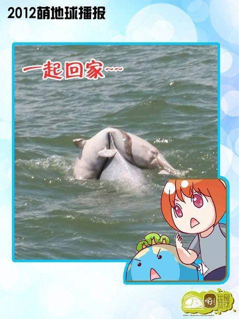 第15集