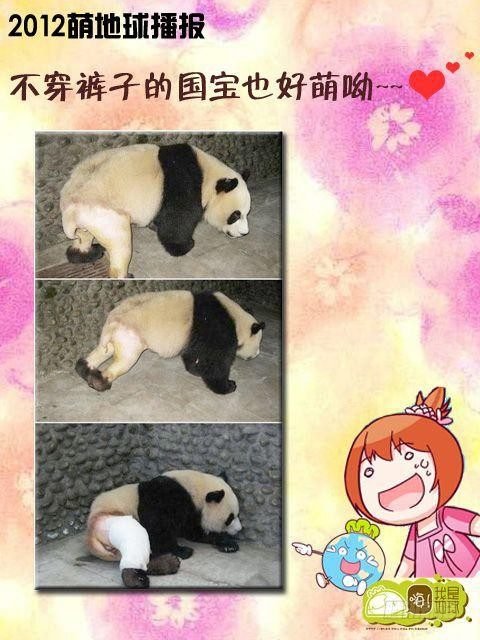 第15集