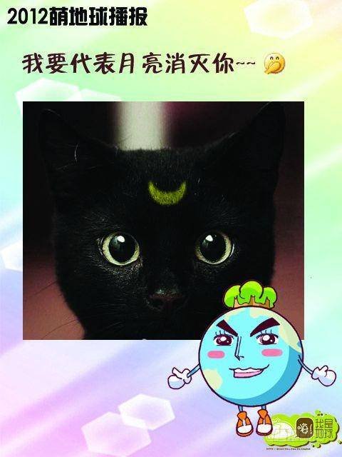 第15集
