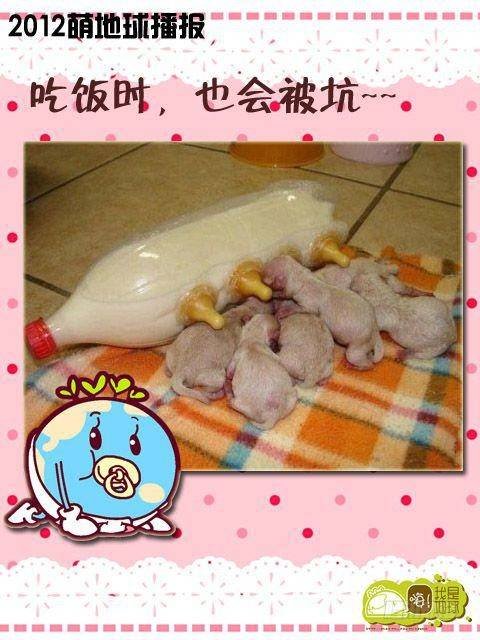 第15集