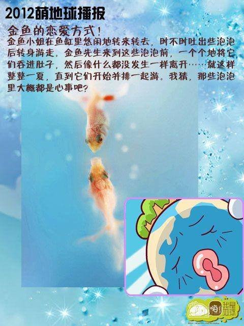 第15集