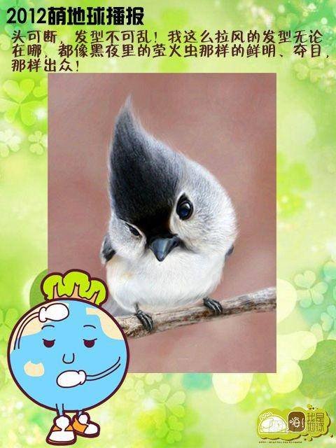 第15集