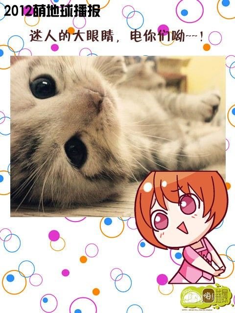 第15集