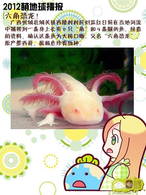 第15集