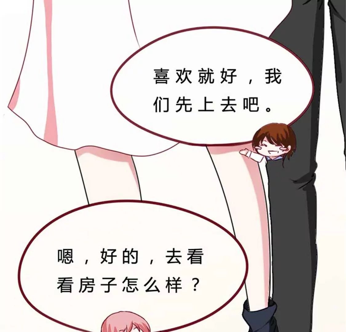 报道