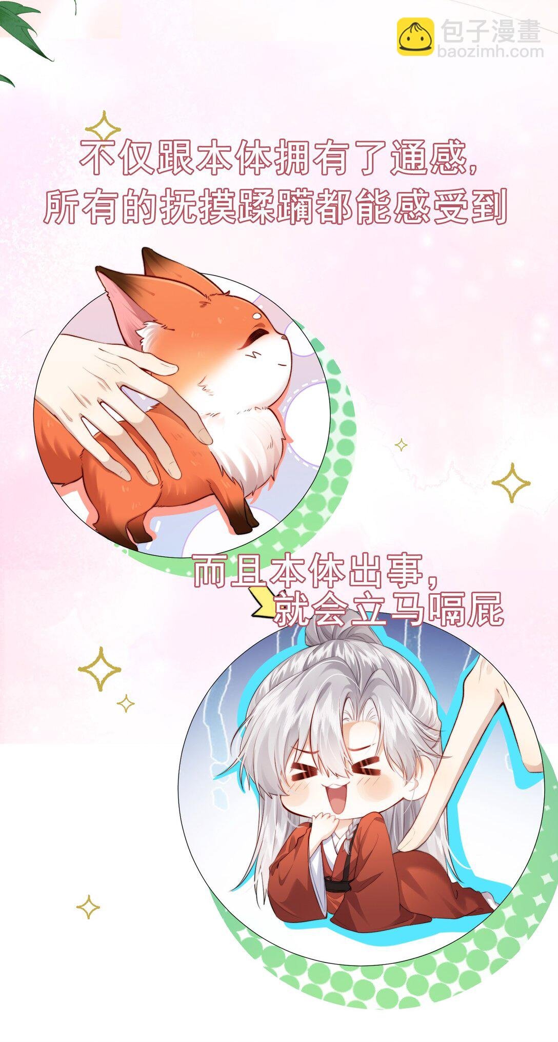 新作 预告