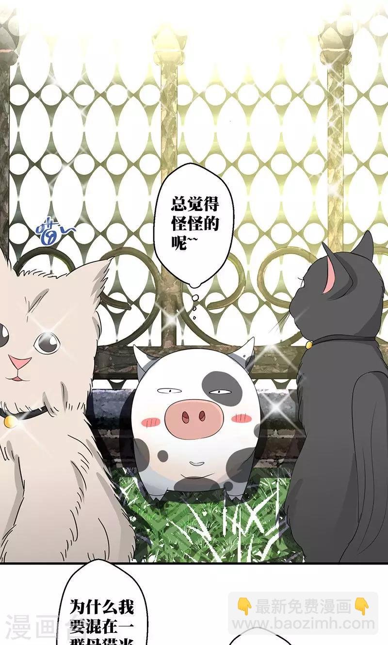 第3话 你的精神是怎么回事啊 ？