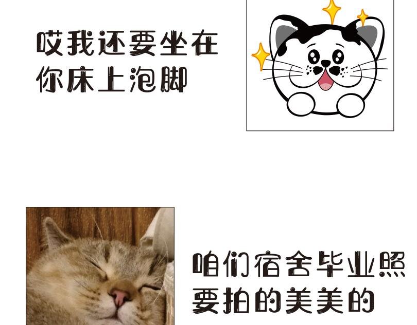 来看看本喵是怎么毕业的