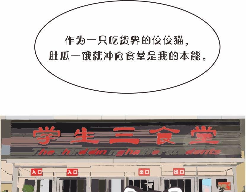 那天后，我不敢再踏进食堂
