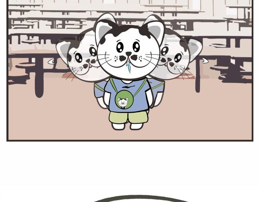 那天后，我不敢再踏进食堂