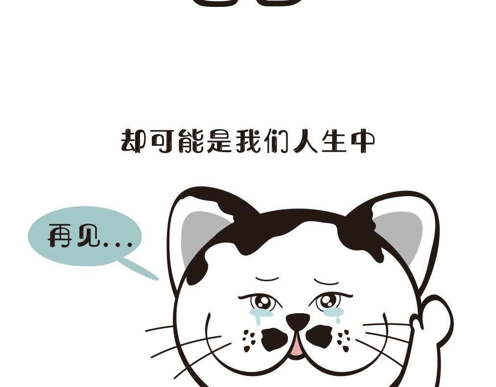 那年高考