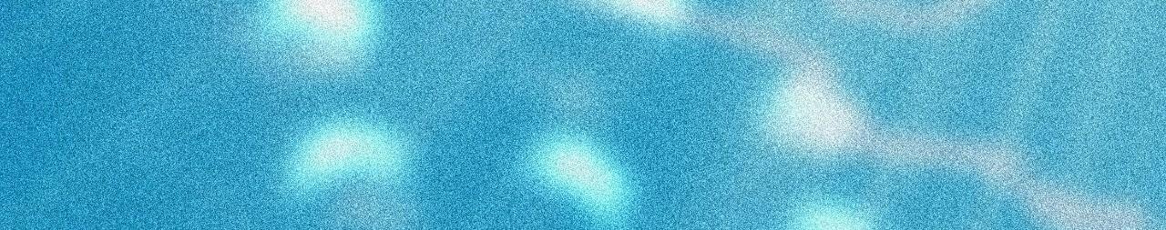 我可能不会再爱你了