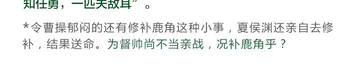 五子良将 张郃传