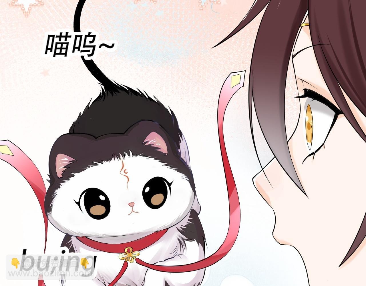 05 神宠猫女？！