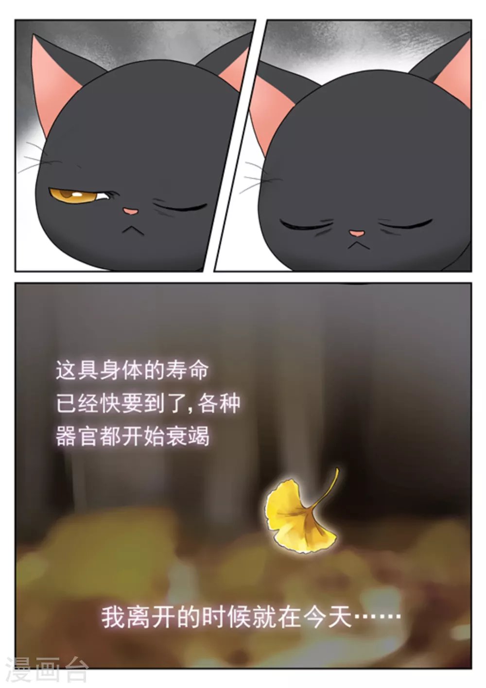 第28话