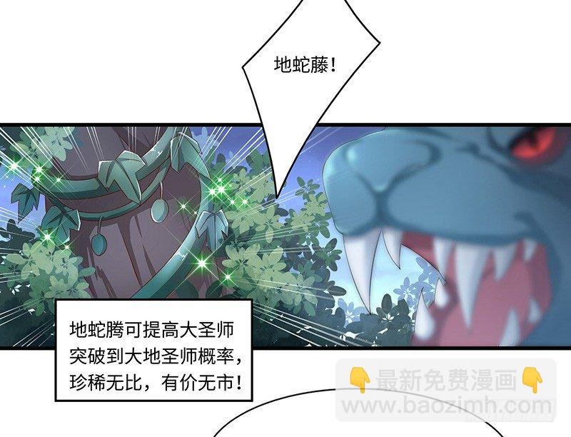 第36话 四阶魔核
