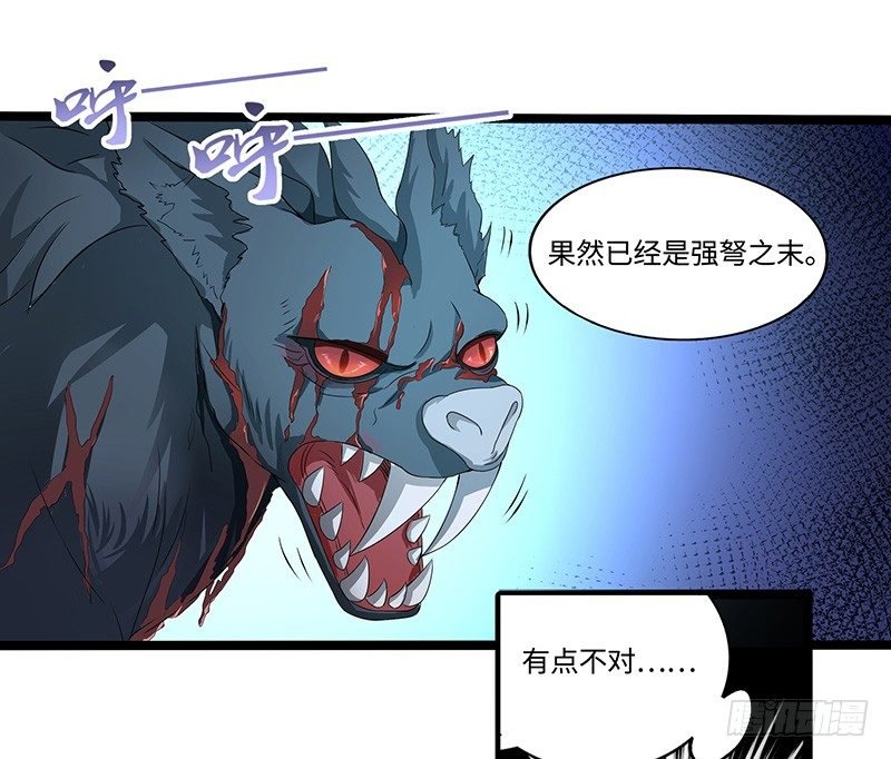 第37话 意外的收获