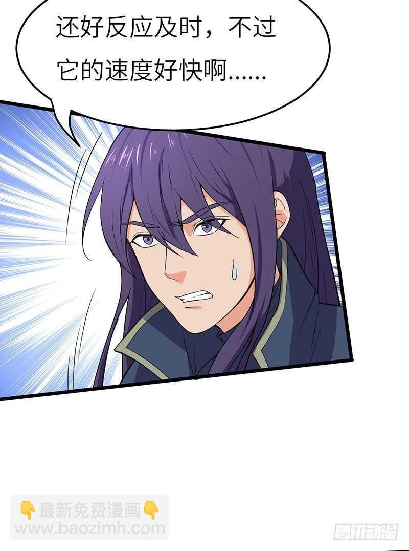 第72话 另一只五阶魔兽