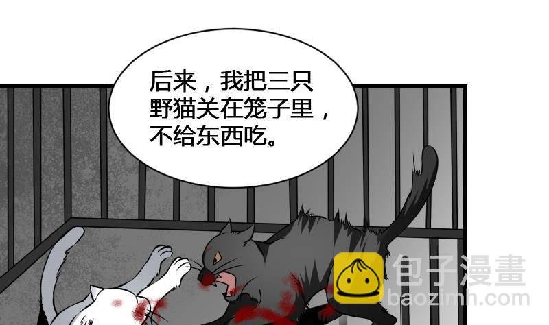 第12话 虐猫狂人