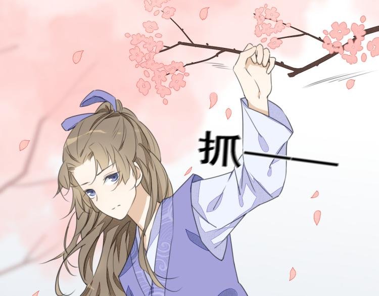 第九话 赏花