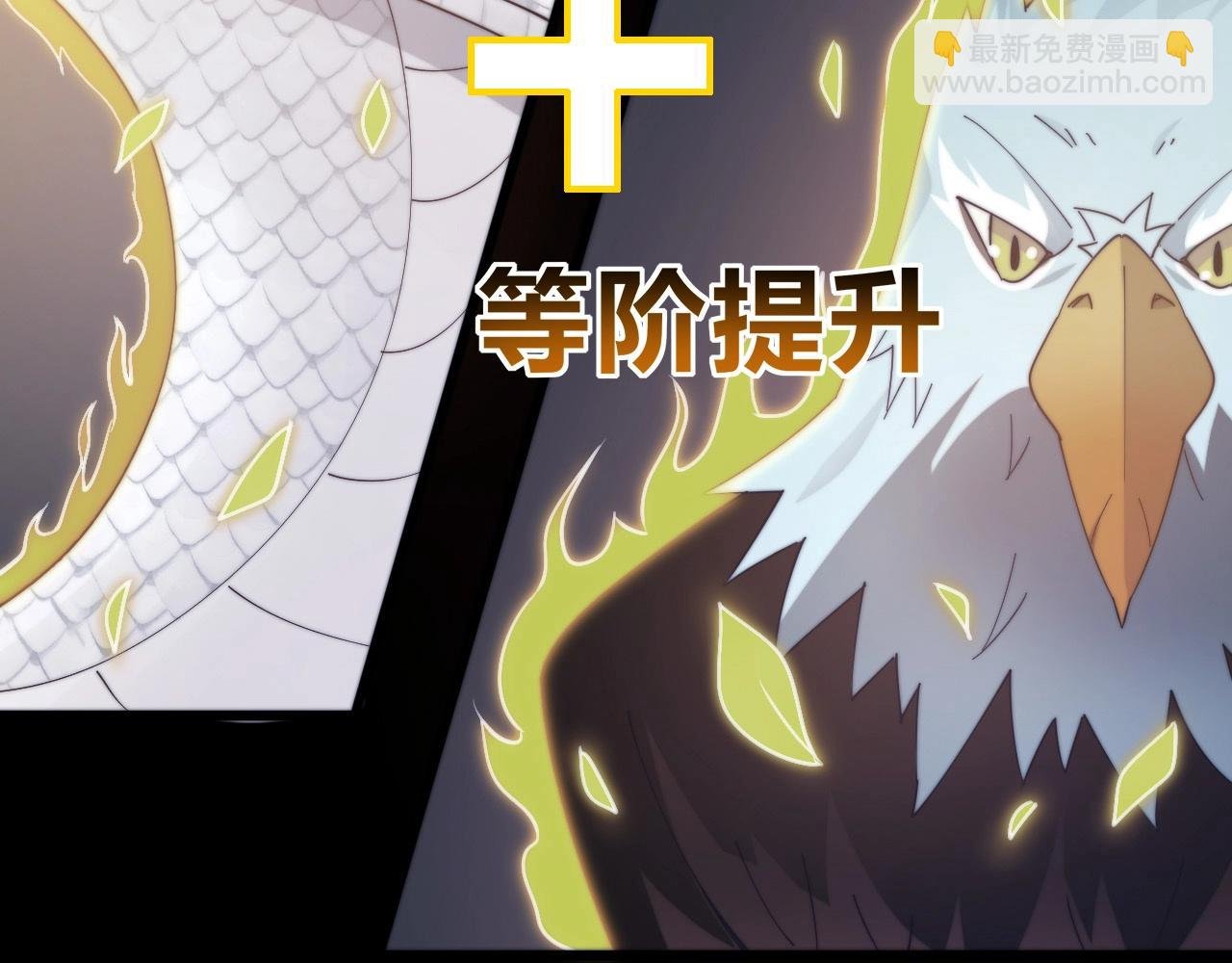 第18话 神源卡牌？