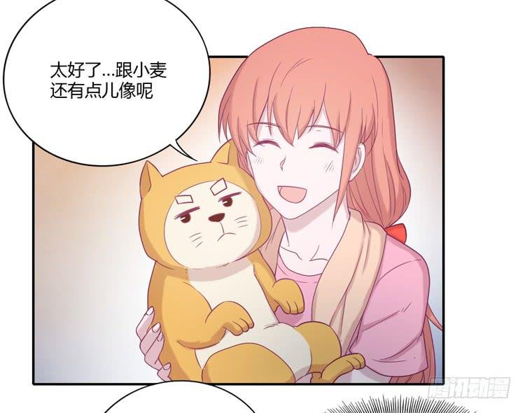 风雨无阻的恋爱
