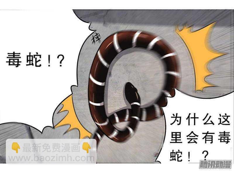 第三令 兽心之令 5