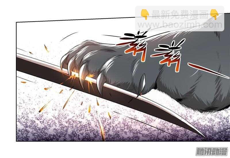 第五令 虎缘之令 8