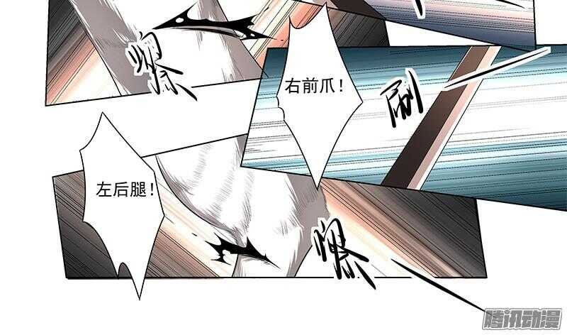 第五令 虎缘之令 10