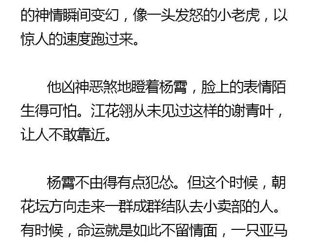 我们都被忘了 Part.8