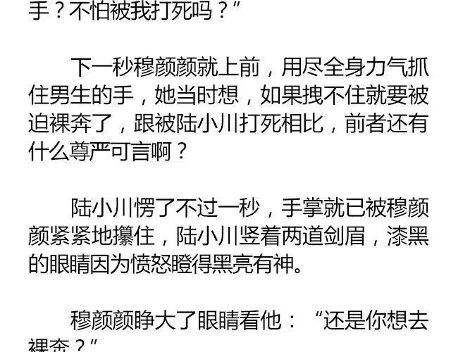 白雪莹莹，橙光渐暖 （上）| 文：木泱泱
