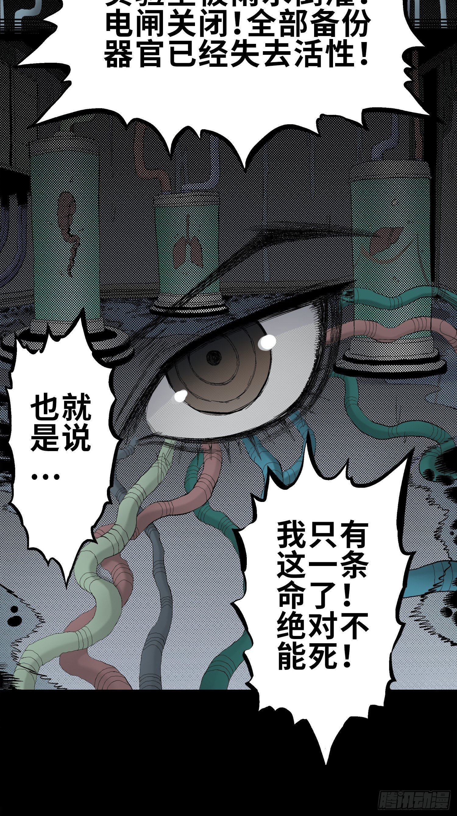 管子与洞（9）