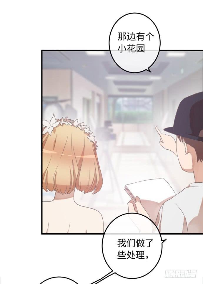 实力圈粉的偶像
