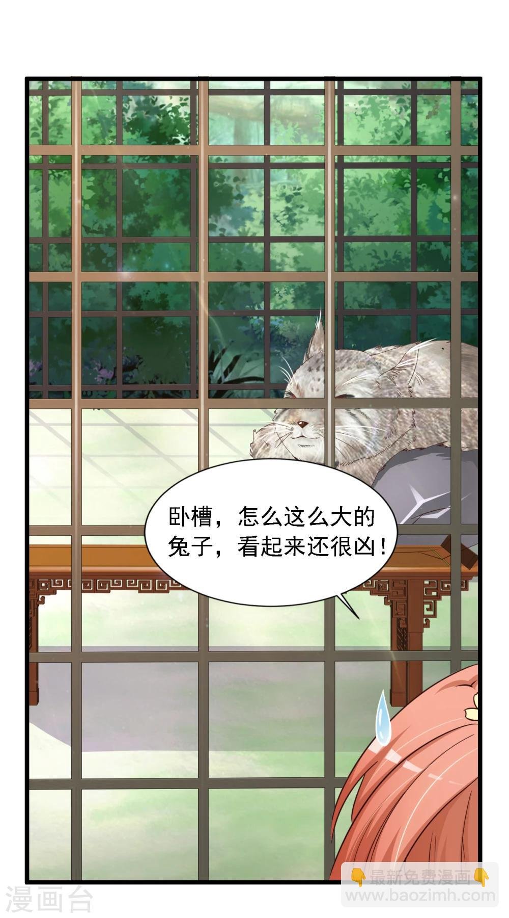 第19话 柳妃的动物园，好怕怕