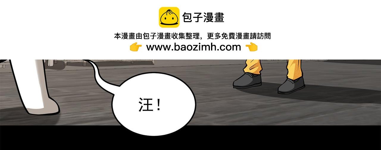 13、怎么可能装看不见！