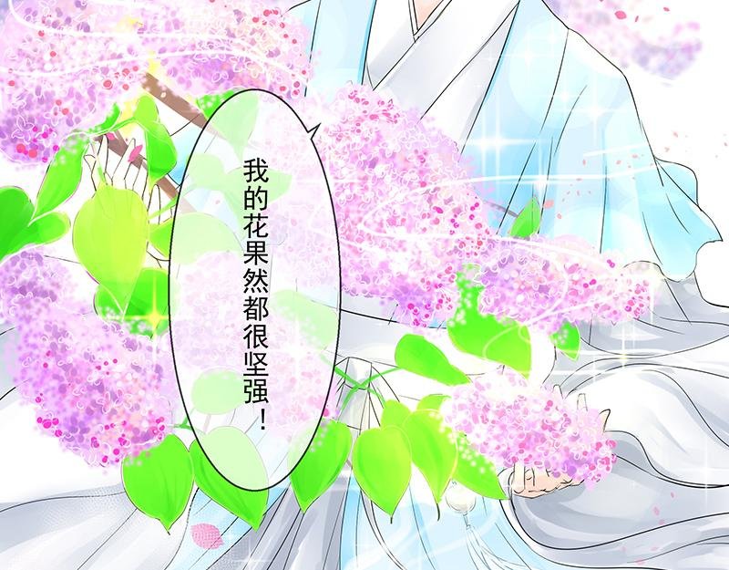 第四回 我没欺负他