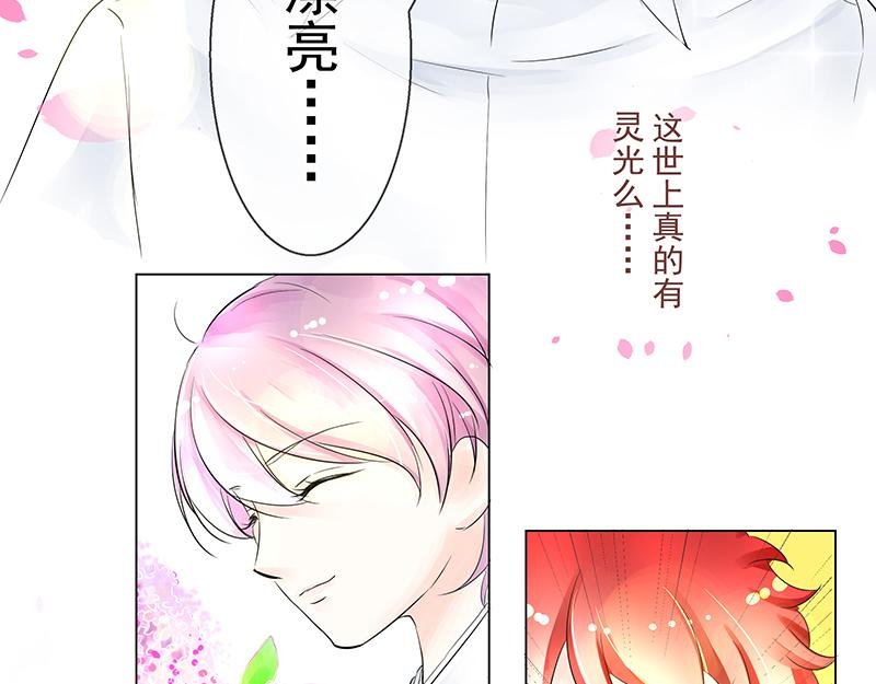 第四回 我没欺负他