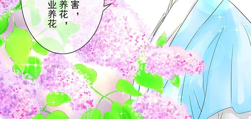 第四回 我没欺负他