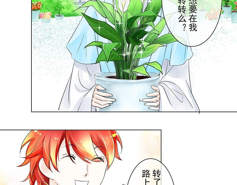 第四回 我没欺负他